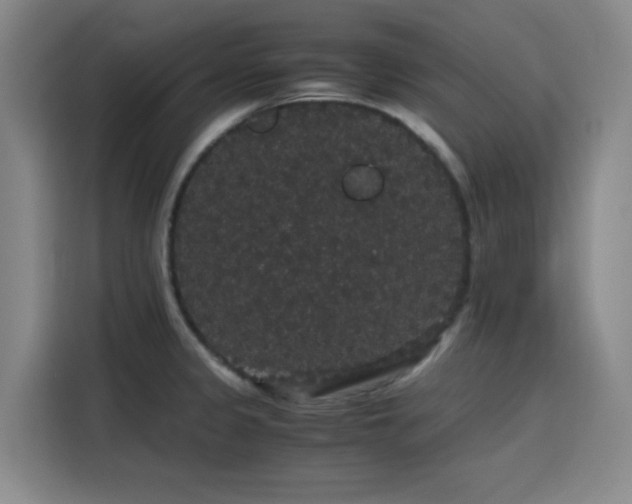 X0000116121333200911231207