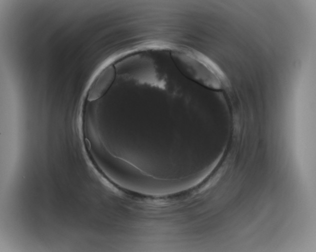 X0000116121334200911231207