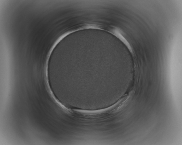 X0000116121339200911231207