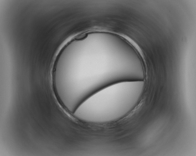 X0000116121341200911231207