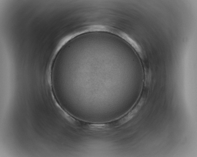 X0000116121342200911231207