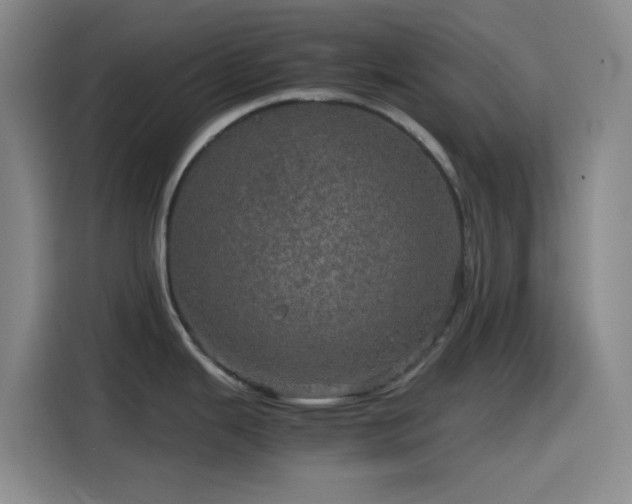 X0000116121343200911231207