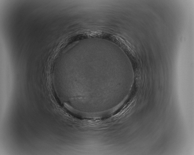 X0000116121345200911231207