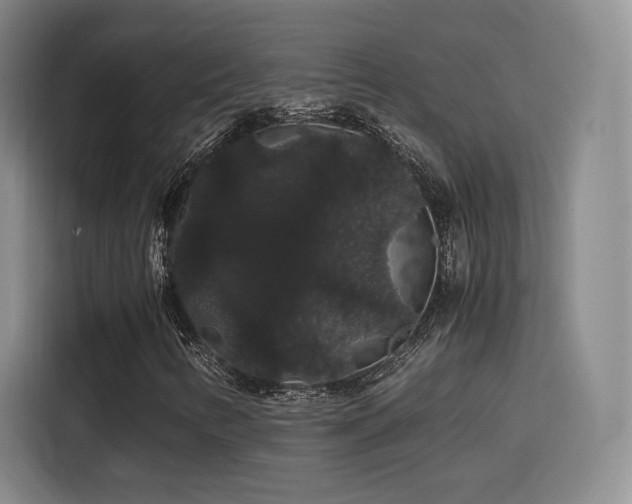 X0000116121346200911231207