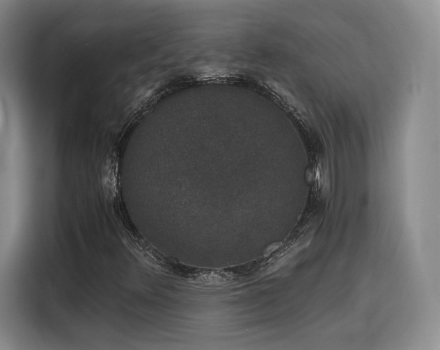 X0000116121348200911231207