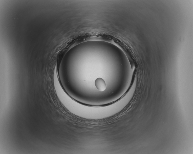 X0000116121349200911231207