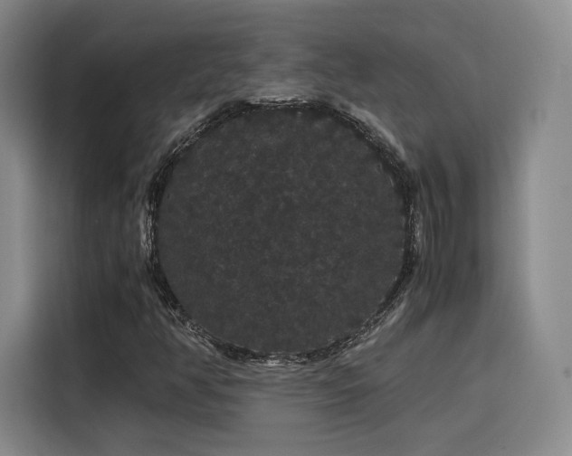 X0000116121350200911231207