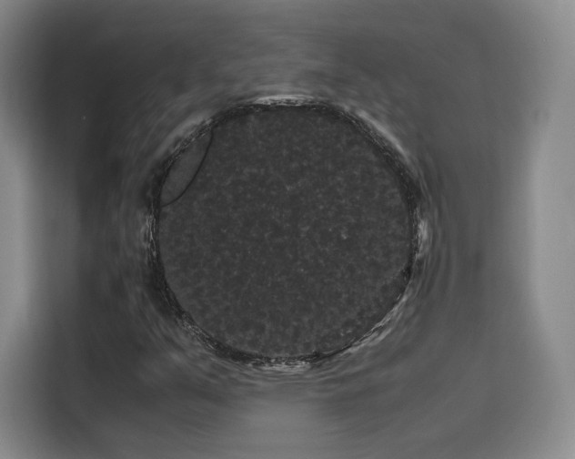 X0000116121351200911231207