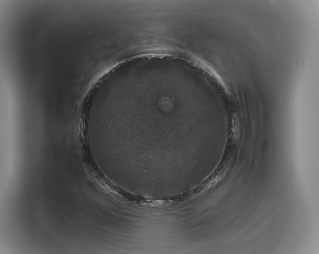 X0000116121352200911231207