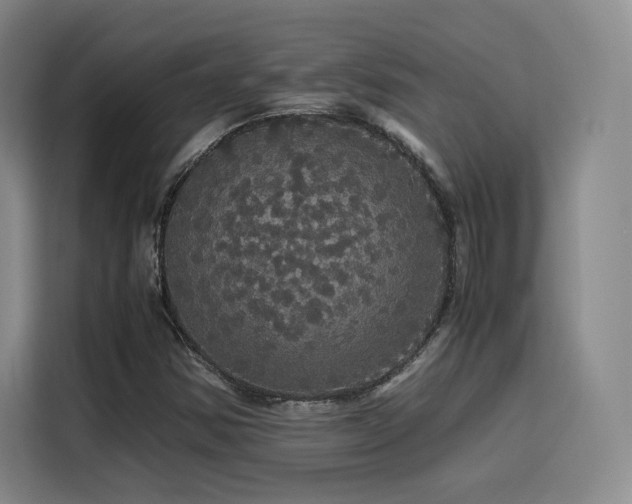 X0000116121354200911231207