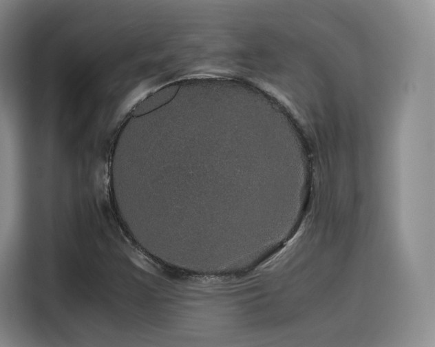 X0000116121355200911231207