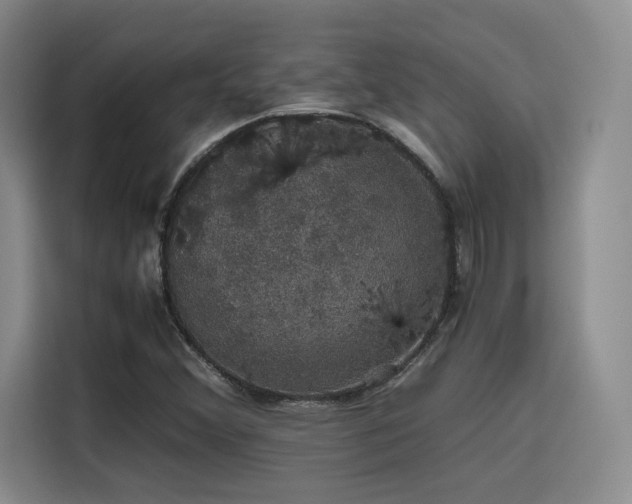 X0000116121356200911231207