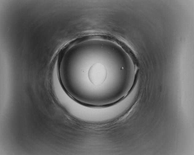 X0000116121357200911231207