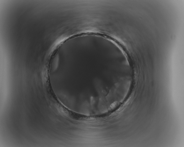 X0000116121359200911231207