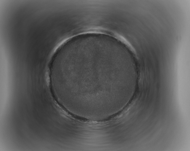 X0000116121360200911231207