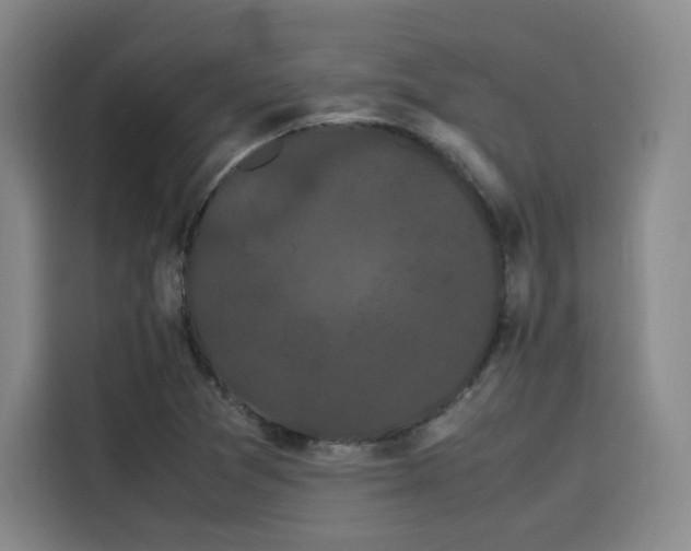 X0000116121361200911231207