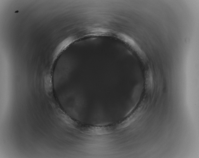 X0000116121362200911231207