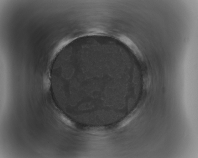 X0000116121363200911231207