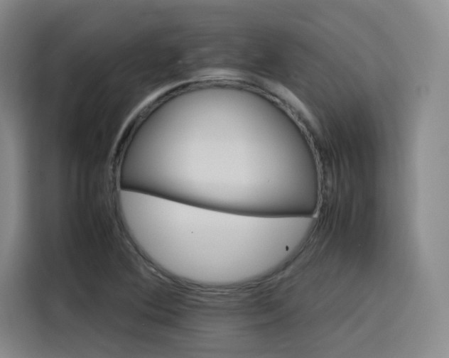 X0000116121364200911231207