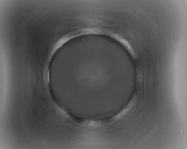 X0000116121365200911231207