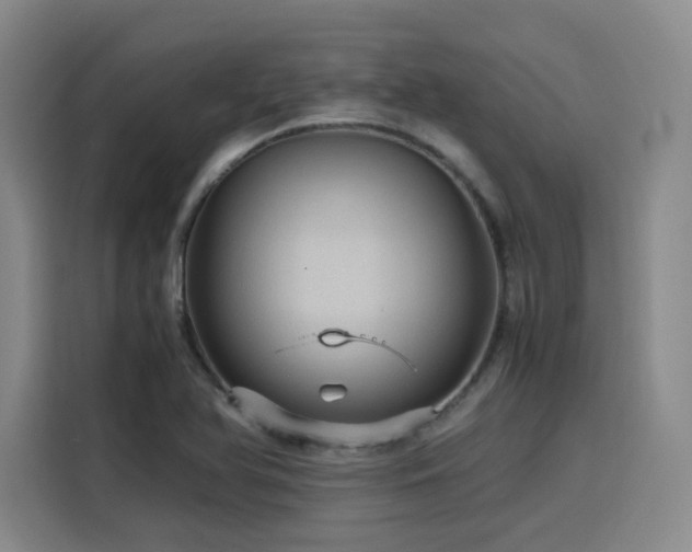 X0000116121366200911231207