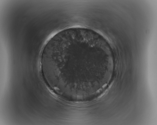 X0000116121367200911231206