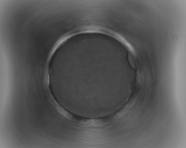 X0000116121368200911231206