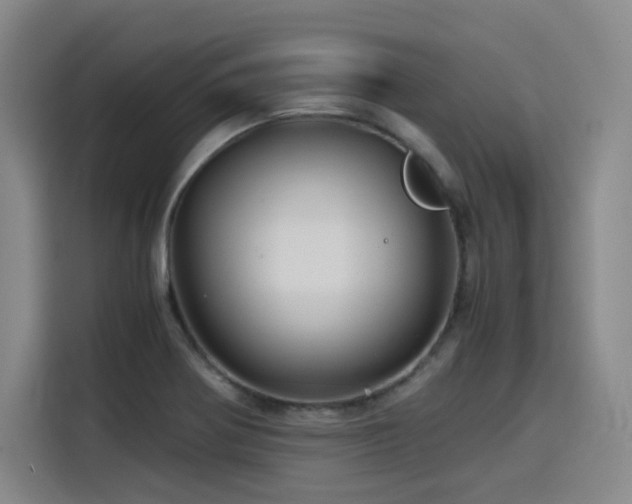 X0000116121370200911231206