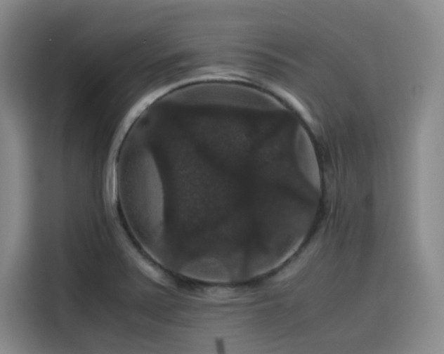 X0000116121371200911231206