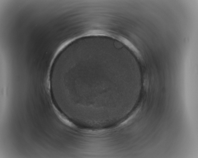 X0000116121372200911231206