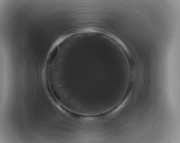 X0000116121373200911231206