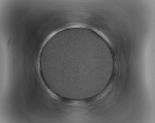 X0000116121375200911231206