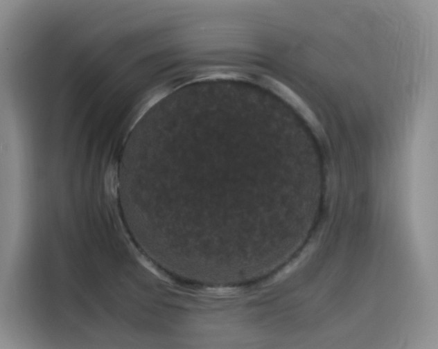 X0000116121377200911231206