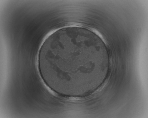 X0000116121379200911231206