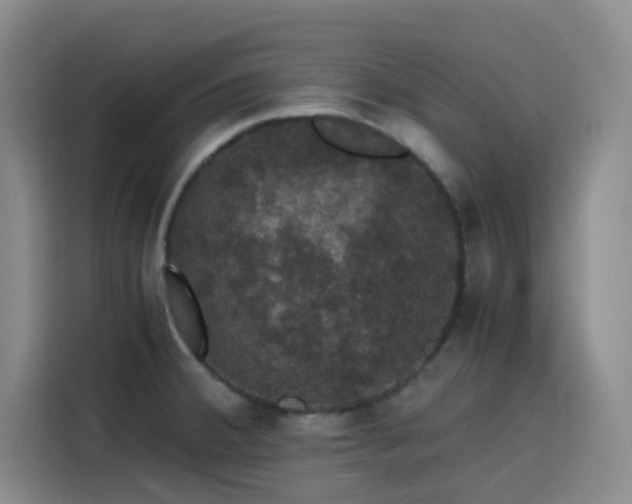 X0000116121380200911231206