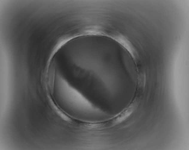 X0000116121381200911231206