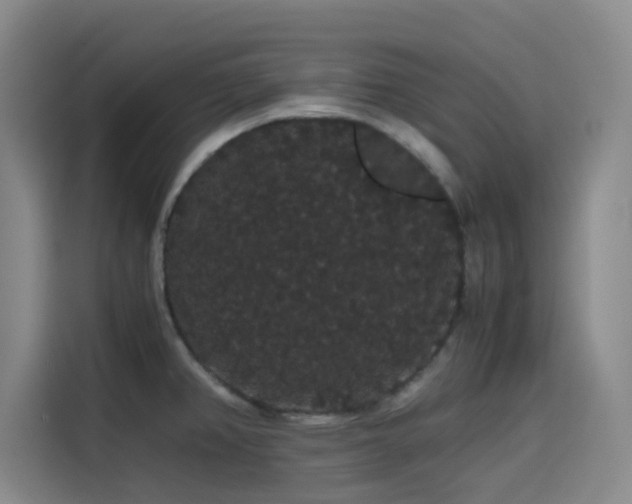 X0000116121382200911231206