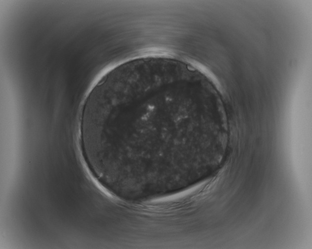 X0000116121383200911231206