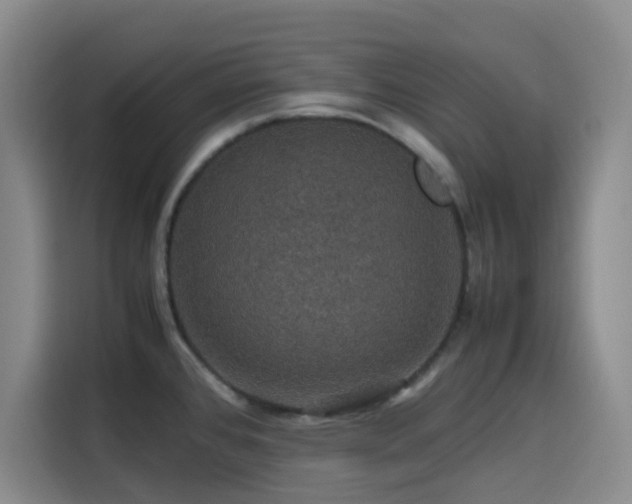 X0000116121384200911231206