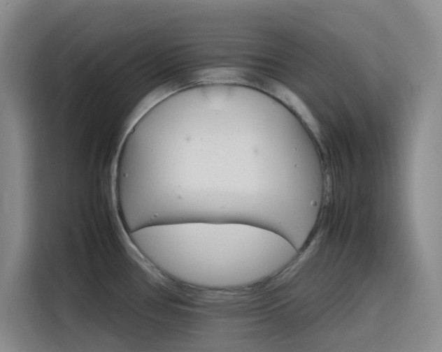 X0000116121386200911231206