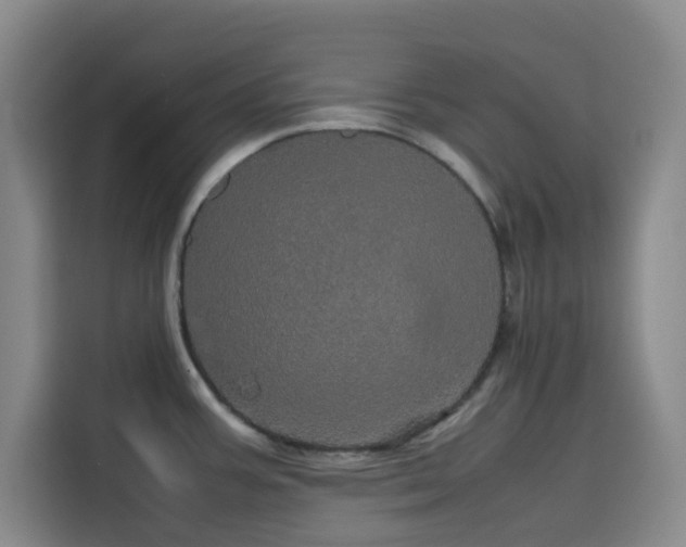 X0000116121387200911231206