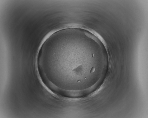 X0000116121389200911231206