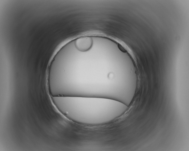 X0000116121390200911231206