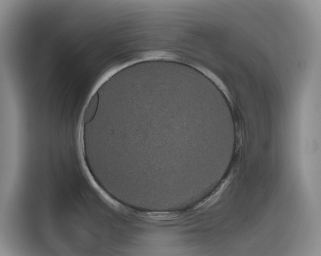 X0000116121391200911231206