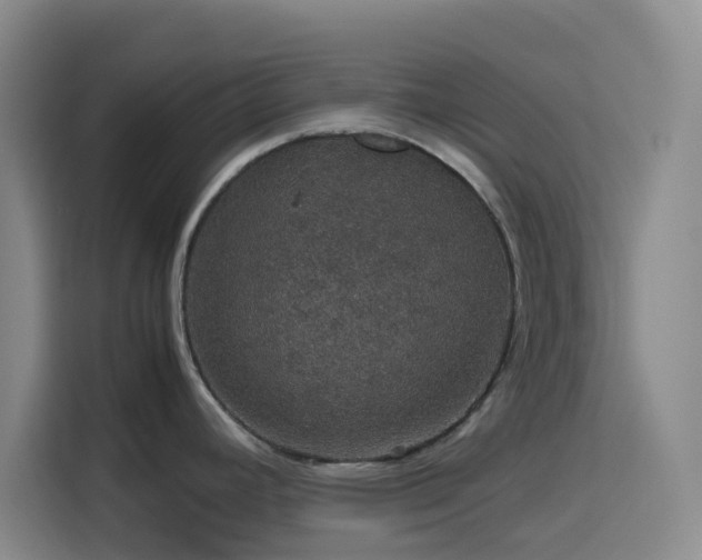 X0000116121392200911231206