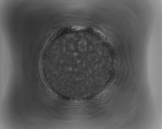 X0000116121393200911231205