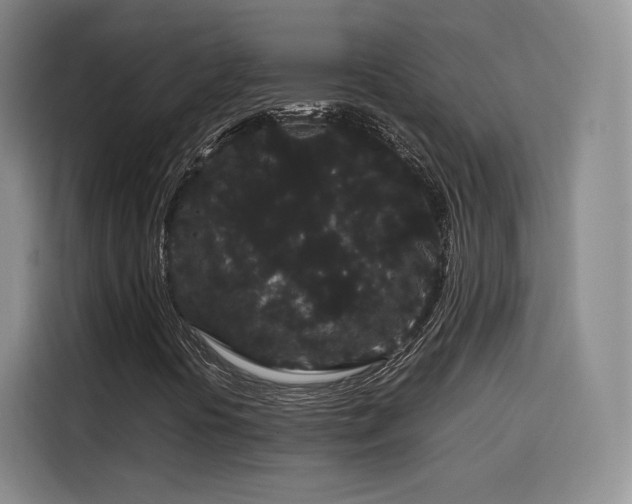 X0000116121394200911231205