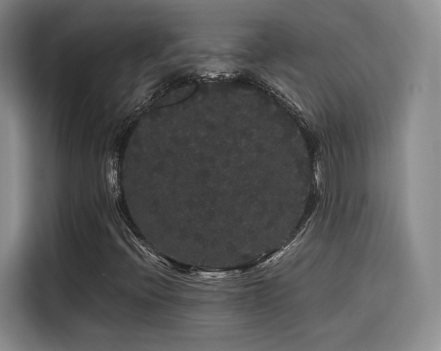 X0000116121396200911231205