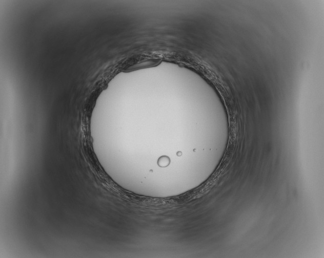 X0000116121397200911231205