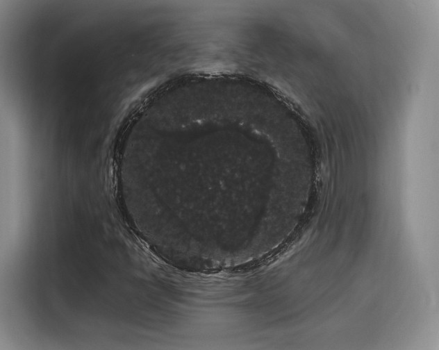 X0000116121398200911231205